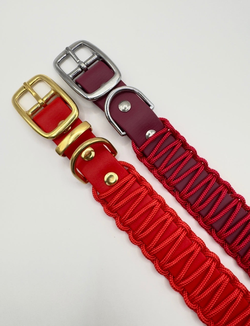 Biothane X Paracord Halsband