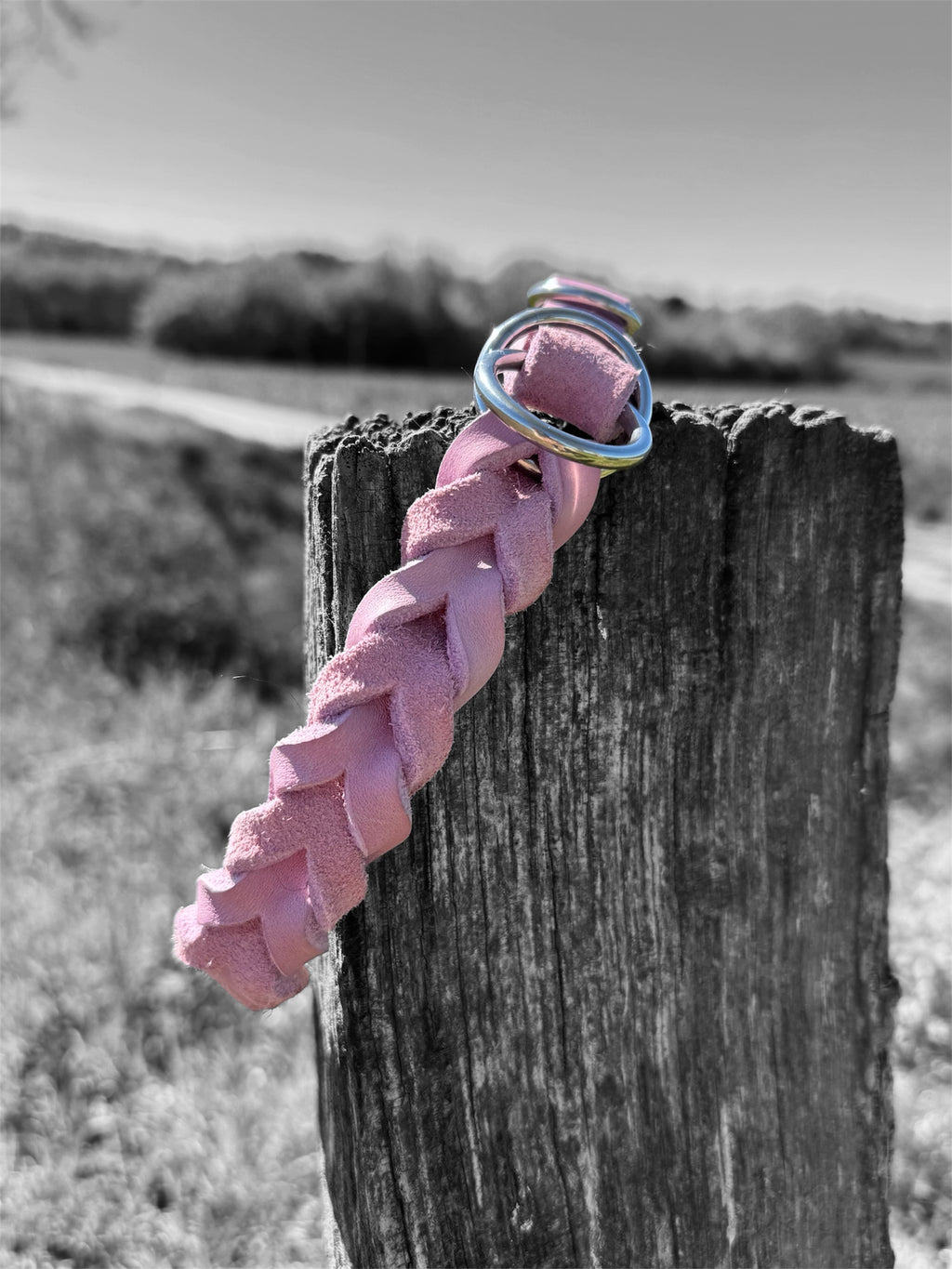 Fettleder Zugstopp Halsband