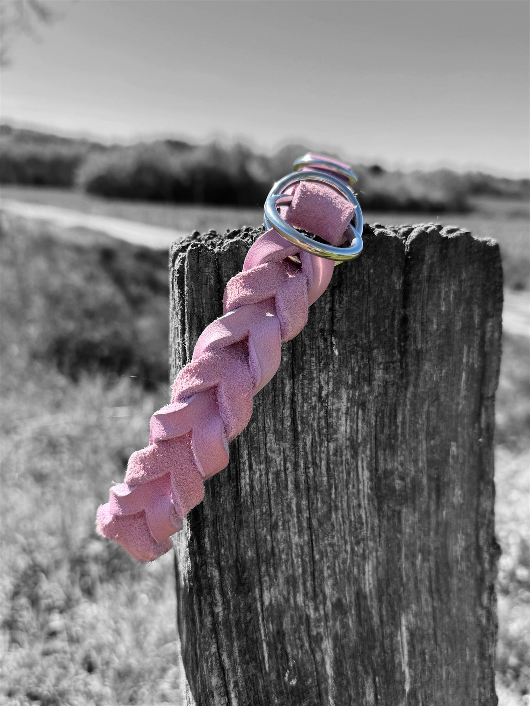 Fettleder Zugstopp Halsband